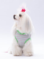 Köpek Mint Sunny Kapşonlu Tişört
