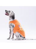 Köpek Turuncu Joy Büyük Tişört Köpek Turuncu Joy Büyük Tişört